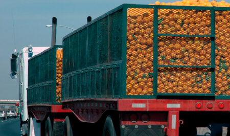 Mastering Cross-Border Food Transport: 6 Essential Practices for Tijuana-San Diego Routes