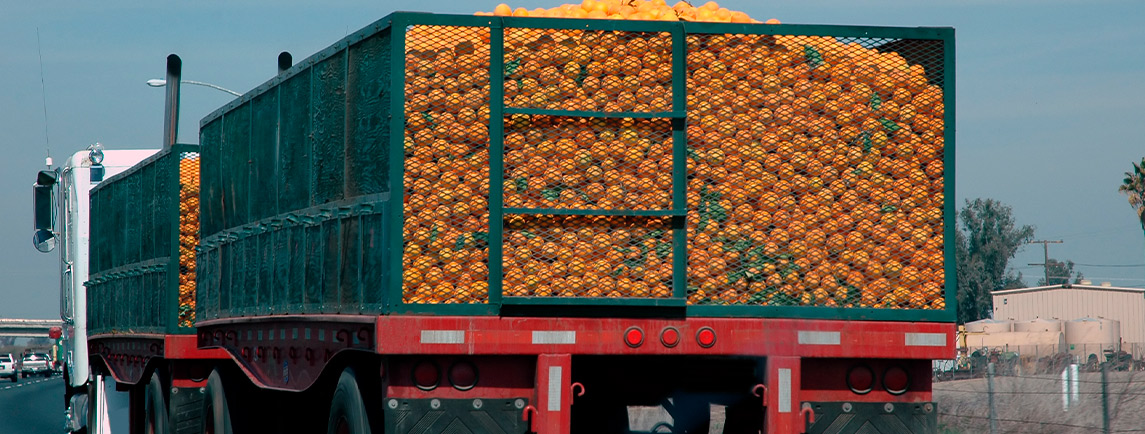 Mastering Cross-Border Food Transport: 6 Essential Practices for Tijuana-San Diego Routes